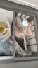 容声（Ronshen）100L单温家用冰柜微霜PCM抗菌内胆深冷锁鲜一级能效节能冷柜BD/BC-100E10HNLAJ国家补贴 实拍图