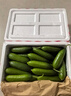 京鲜生 山东荷兰水果黄瓜 净4.5斤 单果70g+ 健康轻食早餐蔬菜 源头直发 实拍图