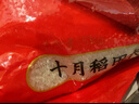 十月稻田 2025年新米 长粒香大米 10斤（东北大米 香米 5公斤/十斤） 实拍图