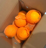 京鲜生 湖北秭归果冻橙九月红脐橙8斤单果150g+应季水果 源头直发 包邮 实拍图