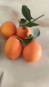 逮果重庆奉节脐橙纽荷尔春橙福本特级大果礼盒装时令新鲜孕妇水果橙子 精选5斤大果【JD/顺丰】 实拍图