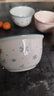 【天天低价】新款釉下彩陶瓷碗餐具套装少女心ins风陶瓷碗勺 粉蓝4碗 实拍图