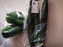 长黄瓜约600g 实拍图