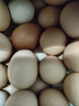 京喜加 鲜鸡蛋 土鸡蛋  五谷喂养 山林自养鸡蛋早餐 生鲜超市买菜40g 10枚 500g【含箱】 实拍图