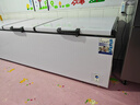 雪贝娜冰柜商用大容量全冷冻家用双温卧式冷柜展示柜 2188双机【双倍制冷一级能效】长3.08米 实拍图