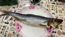 缤鲜 嗒莎熊俄式熏鱼整条鲱鱼 冷熏生熏鱼姐同款咸鱼整条即食顺丰包邮 含鱼籽冷熏鲱鱼220g左右*2条【净重】 实拍图