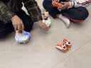 知贝遥控碰碰车儿童汽车玩具孙悟空男女孩生日礼物亲子互动对战赛车 孙悟空+猪八戒【两只对战装】手提礼盒+喷雾+声光 【充电电池】3-6-12岁小孩学生实用礼 实拍图