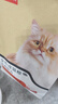 好主人猫粮 成猫粮通用猫粮鸡肉蓝猫高蛋白猫咪室内营养均衡毛发靓丽 营养均衡成猫粮6斤 实拍图