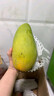 京鲜生广西大青芒 巨无霸果8.5斤装 单果500g起 生鲜水果源头直发 实拍图