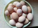 农家散养谷物土鸡蛋50±5克/枚 30枚 实拍图