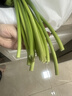 番茄约500g 实拍图