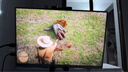 索尼（SONY）PS5 Slim港版光驱版 4K游戏主机 港版正品 支持GTA6 CFI-2118A01新款 实拍图