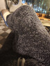 京东京造【保暖抗静电 连帽衫】珊瑚绒秋冬加厚睡衣男睡衣男家居服深灰M 实拍图