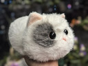 WALULU陪伴智能机器人AI情感毛绒玩具潮流礼物猫咪电子宠物 白色 实拍图
