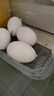 绿田逐 鹅蛋新鲜散养土鹅蛋生鲜12枚 2.7斤礼盒装 源头直发 实拍图