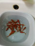 金鱼草金鱼观赏鱼冷水好养耐活小鱼苗锦鲤 5-7cm 红草金买1条送1条（加备损） 实拍图