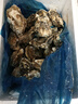 蜀皇 乳山生蚝鲜活特大牡蛎海蛎子5斤2XL(18-28只)只源头直发包 邮  实拍图