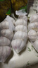 京鲜生河南杞县精品干蒜 紫白皮大蒜 5-5.5cm*4条装 净重1.8斤 源头直发 实拍图