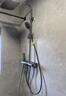 九牧（JOMOO）花洒套装琴键按摩喷枪除垢顶喷水愈精灵淋浴器36668-882/HBS-1 实拍图