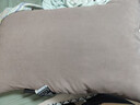 洁丽雅（Grace）枕头枕芯 A类酒店加厚锦丝绸羽丝绒枕舒睡枕单只装 咖色 实拍图