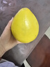 福建平和老树红柚 老少皆宜水果 1.5-2斤 皮薄肉厚多汁 实拍图
