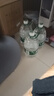 怡宝 饮用水 纯净水2.08L*8瓶 量贩装 实拍图