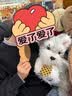 Chongker宠客椒盐雪纳瑞仿真狗狗双肩包毛绒玩偶公仔送礼女生生日礼物 实拍图