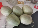 黄六爷正宗哈密瓜9斤新鲜水果网纹玲珑蜜静冈冰淇淋西州蜜甜瓜整箱包邮 3斤【1-2个果】爆甜多汁 实拍图