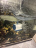森森（SUNSUN）耀蓝鱼缸水泵小型潜水泵过滤泵抽水泵YQP-1000 15W 实拍图