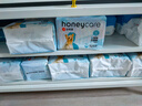 HONEYCARE好命家 狗狗纸尿裤公狗尿不湿安全裤XS适用体重2.5-4kg/12片3包装 实拍图