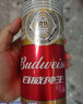 百威啤酒经典纯生500ml*12听整箱装新旧包装京东自营新年送礼 实拍图