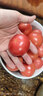 新鲜沙瓤大番茄生吃西红柿减肥早餐即食新鲜蔬菜生鲜单果＞100g 畅享装 3斤 净重 实拍图
