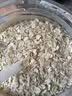 MOJY澳洲进口燕麦片0糖0脂肪中老年无糖尿人早餐冲泡即食养胃纯减低肥 1罐【喝不够】 实拍图