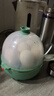 九阳（Joyoung）煮蛋器多功能智能蒸蛋器7个蛋量 ZD7-GE130（飞泉绿） 实拍图