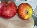 京鲜生 陕西洛川苹果红富士  净重5斤  单果200g+ 生鲜水果 实拍图