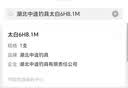 中逵太白轻量大物竿综合鱼竿手竿鲢鳙钓鱼竿6H超轻硬野钓翘嘴台钓竿 8.1m 轻量大物竿 40斤内适用-6H 实拍图