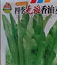 【京东物流】蔬菜种子四季播盆栽阳台庭院香菜生菜菠菜简单秋易种 油麦菜种子1包约1000粒 实拍图