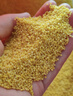 十月稻田 山西黄小米 5斤 25年新米 小米杂粮 五谷杂粮营养早餐粥米 粗粮 实拍图