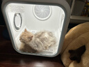 霍曼宠物智能烘干箱宠物烘干机猫咪自动吹干箱狗狗洗澡吹风机家用 实拍图