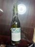 La Piccola Bella【年货节送礼】新西兰 原瓶进口 马尔堡拉倍乐长相思干白葡萄酒 两瓶装 750ML 实拍图