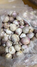 京喜加正宗云南紫皮独头蒜干蒜高原珍珠蒜新鲜蔬菜调料 优惠净重2.7斤单果2cm左右 实拍图