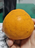 京鲜生 四川春见耙耙柑 净重5斤 单果180g起 生鲜水果柑橘桔子年货礼盒 实拍图