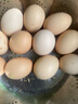 忆乡岭鸡蛋 散养谷物蛋 农家山林喂养 初生鲜土鸡蛋 50枚2000g装 实拍图