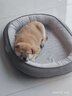【京东快递】猫窝狗窝保暖中大型狗垫子四季狗狗窝垫大型狗窝沙发 浅灰色 L- 60*48cm 适合15斤内宠物 实拍图