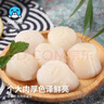 海鲜世家冷冻扇贝柱净重450g 65-80粒 瑶柱 生鲜火锅烧烤食材海鲜年货送礼 实拍图