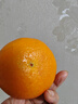 京鲜生 爱媛果冻橙 净重10斤装 单果180g起 生鲜水果柑橘桔子年货礼盒  实拍图