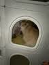 蔻丝猫笼子带厕所一体适合大猫家用室内三层超大自由空间猫别墅猫柜 实拍图