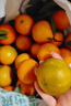 京鲜生 广西茂谷柑 净重4.5斤装 单果130g+ 新鲜水果源头直发包邮 实拍图