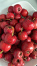 京鲜生 甜红子红山楂 新鲜山楂300g 尝鲜装 生鲜水果 实拍图