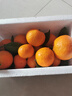 【产地直发】正宗广西金秋砂糖橘棉橘水果新鲜当地砂糖橘橘子新鲜 砂糖橘带箱2斤 实拍图